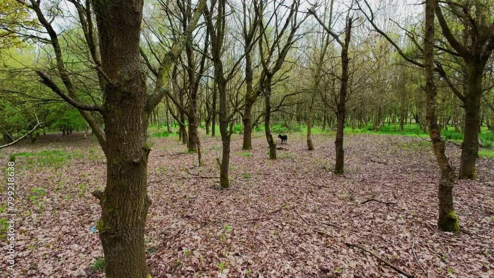 Walking through the English countryside in Spring on a cloudy but bright day. 4k Gopro HDR Walking through the English countryside in Spring on a cloudy but bright day. 4k Gopro HDR
