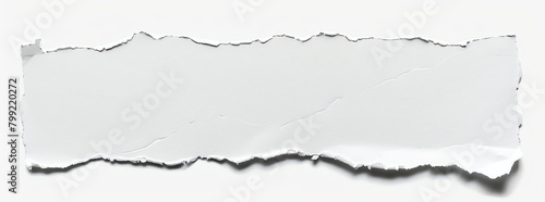 Torn White Paper Texture on Clean Background