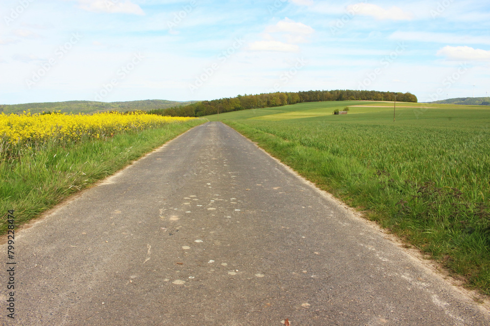 An image of an asphalt road laid among fields in Germany.