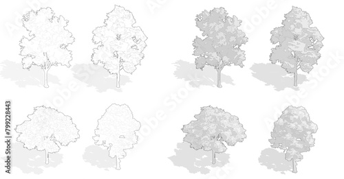 set of isometric trees, axonometric trees