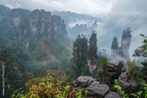 A Fantastic Chinese Landscape of Mountains, Forests and Rocks 
