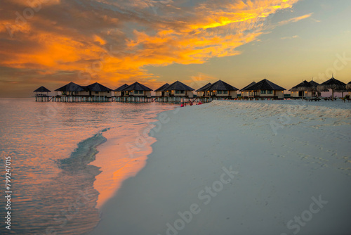 Maldives island beach. Tropical landscape of summer scenery  white sand with palm trees. Luxury travel vacation destination. Exotic beach landscape. Amazing nature  relax  freedom nature template