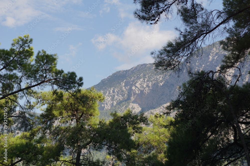 high cliffs against the background of trees on a hot summer day high cliffs against the background of trees on a hot summer day