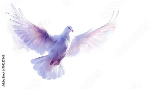 A vivid representation of a dove flying with its wings expanded, signifying the Holy Spirit, set on a white backdrop © Moinul