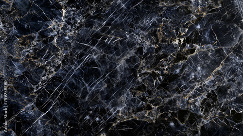 Sophisticated black marble surface with intricate white and grey designs