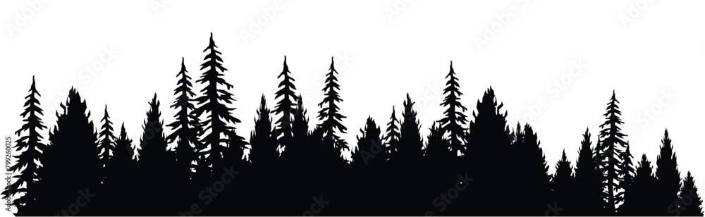 Silhouette of forest and flying birds. Mountainous surface. Beautiful trees (spruce) are separated from each other, Vector illustration.