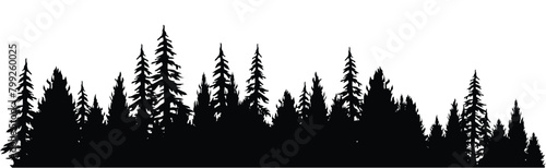 Silhouette of forest and flying birds. Mountainous surface. Beautiful trees  spruce  are separated from each other  Vector illustration.