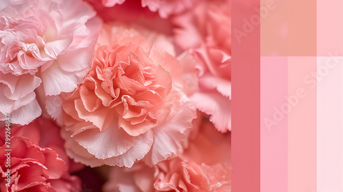Soft coral pink hue, gentle and inviting for your creative process.