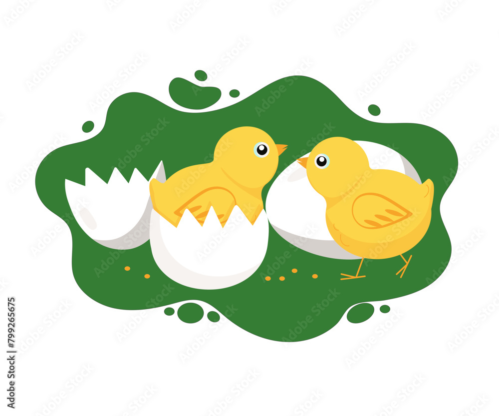 Fototapeta premium Chickens, eggs, eggshells. Farm, pets. Cute baby chickens. Vector illustration, background isolated.