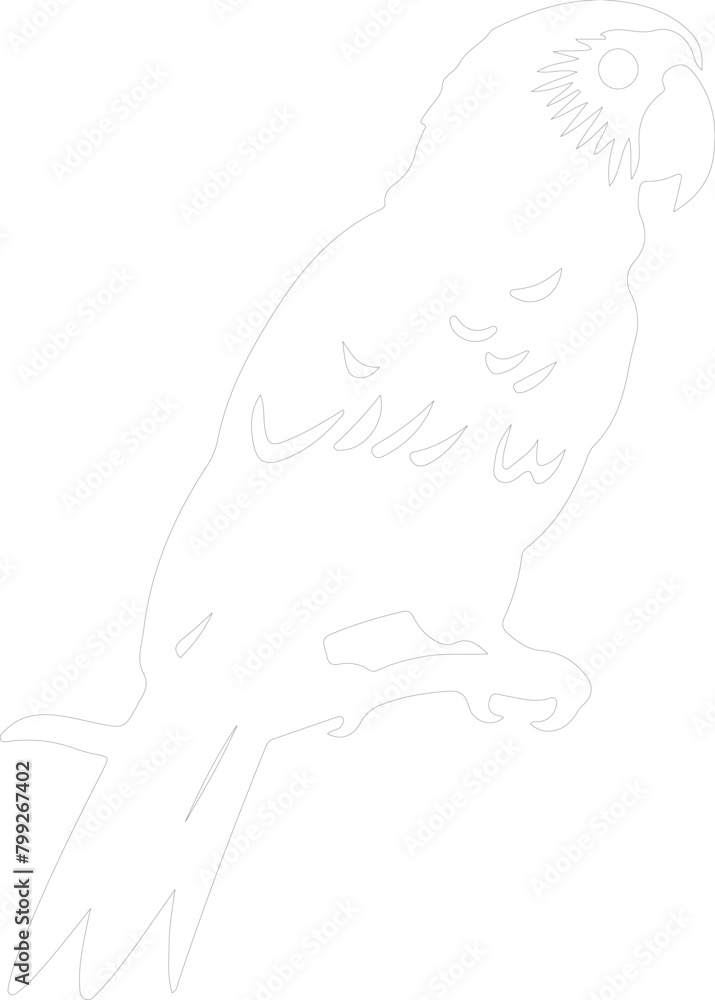 African gray parrot outline
