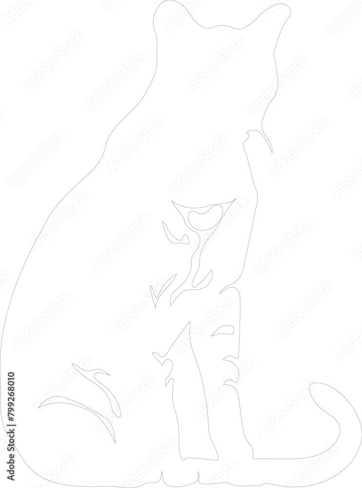 African wild cat outline African wild cat outline