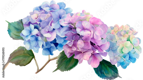ILUSTRACION DE FLORES ESTILO ACUARELA PNG
