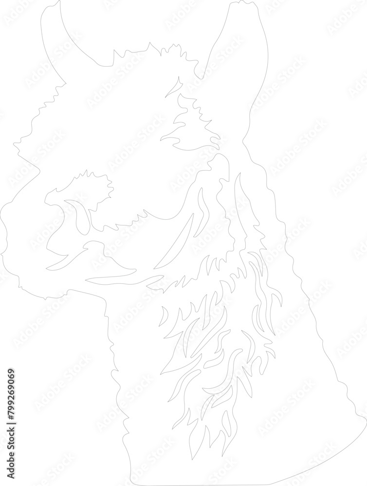 alpaca outline