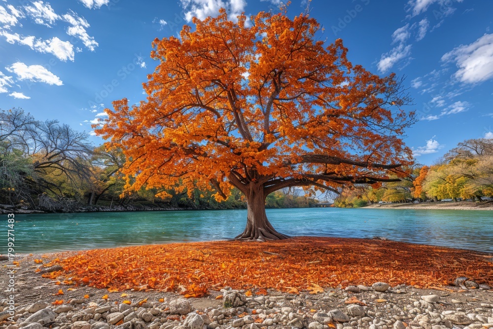Tree With Orange Leaves by Riverbank
