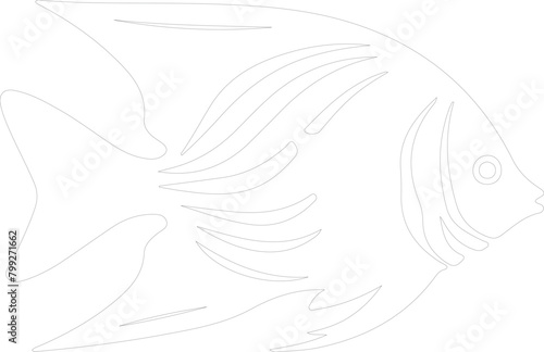 angelfish outline