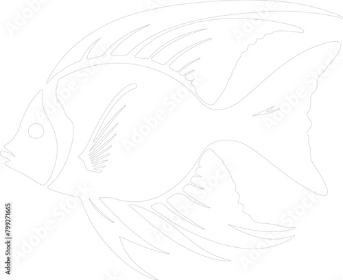 angelfish outline