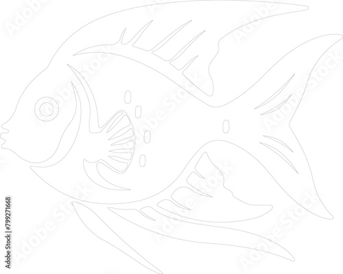 angelfish outline
