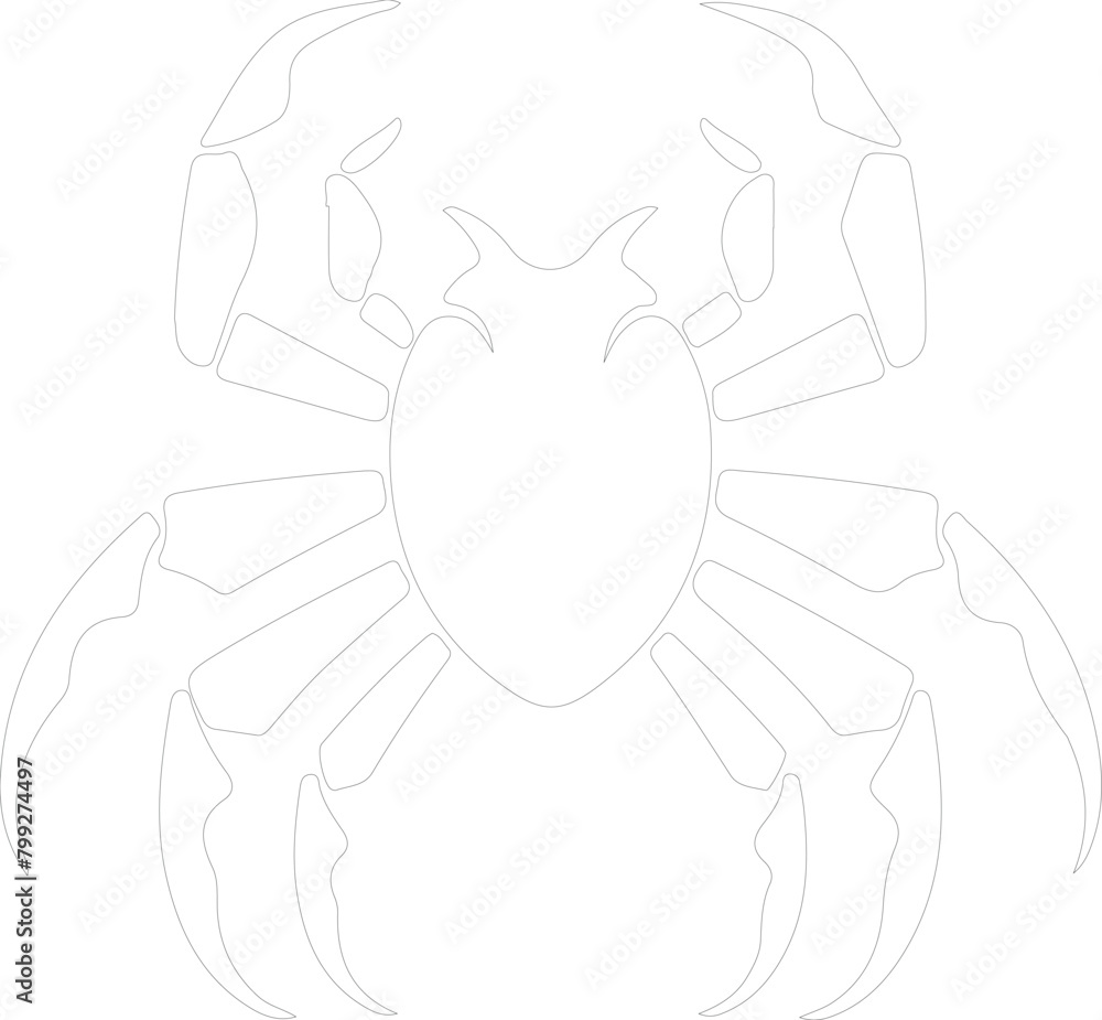 arthropod outline arthropod outline