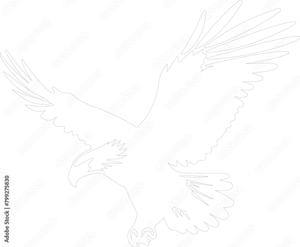 bald eagle outline bald eagle outline