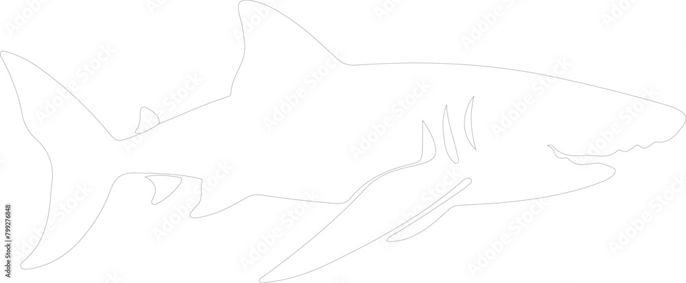 basking shark outline basking shark outline