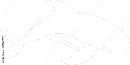 beluga whale outline