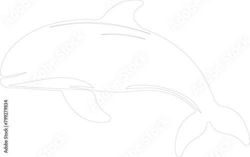 beluga whale outline