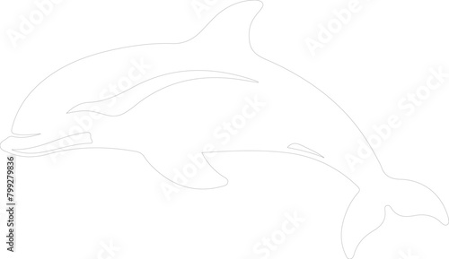 beluga whale outline