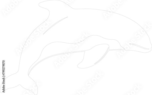 beluga whale outline
