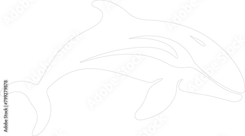 beluga whale outline