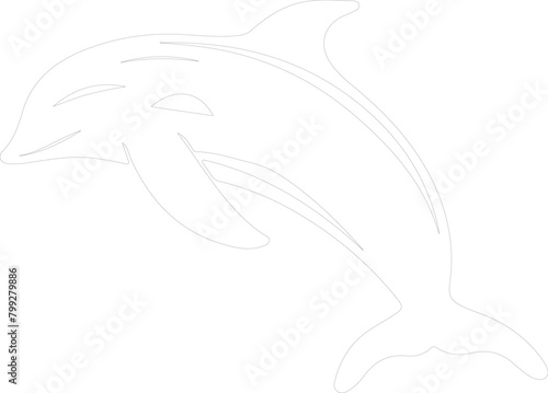 beluga whale outline