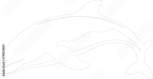 beluga whale outline