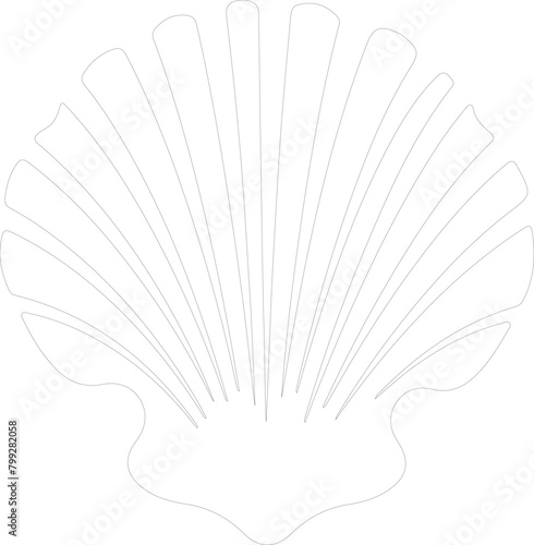 bivalve outline