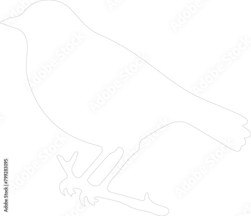 blackbird outline