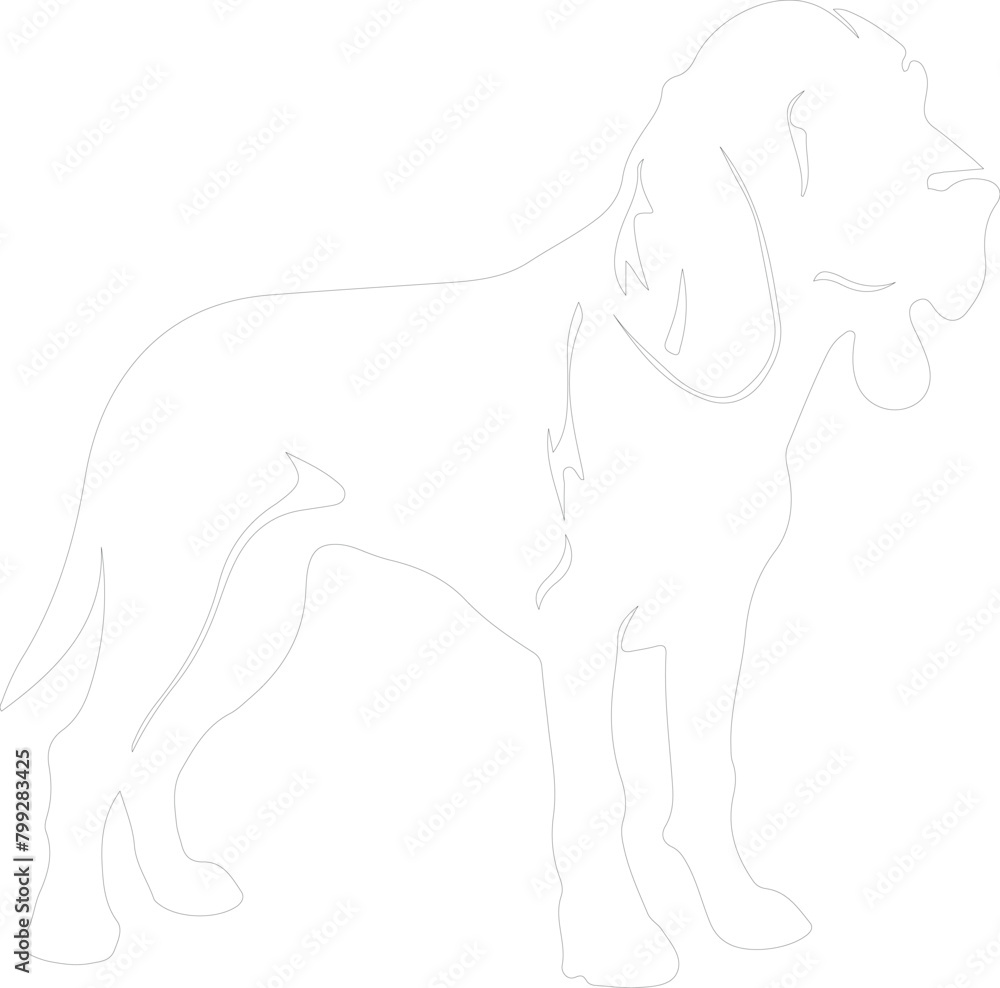 Obraz premium bloodhound outline
