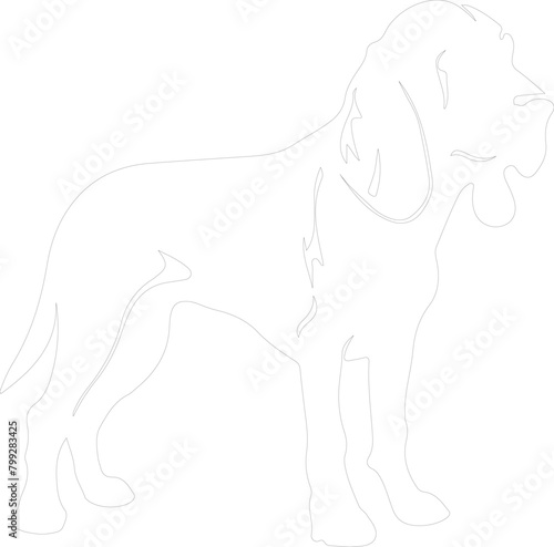 bloodhound outline