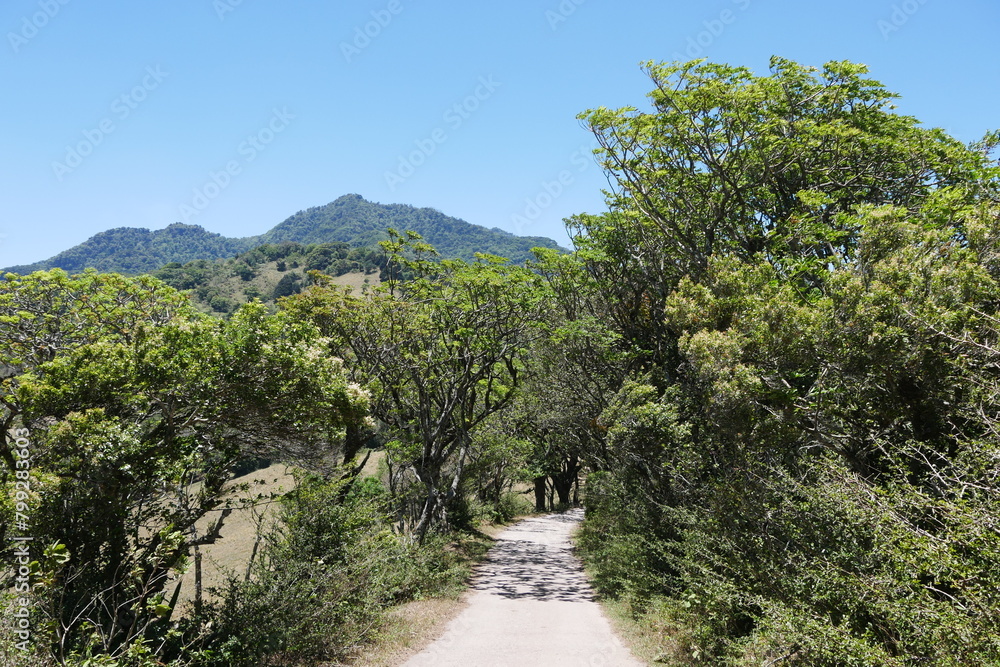 Straße bzw Feldweg in den Bergen von Escazú Berglandschaft bei San José in Costa Rica