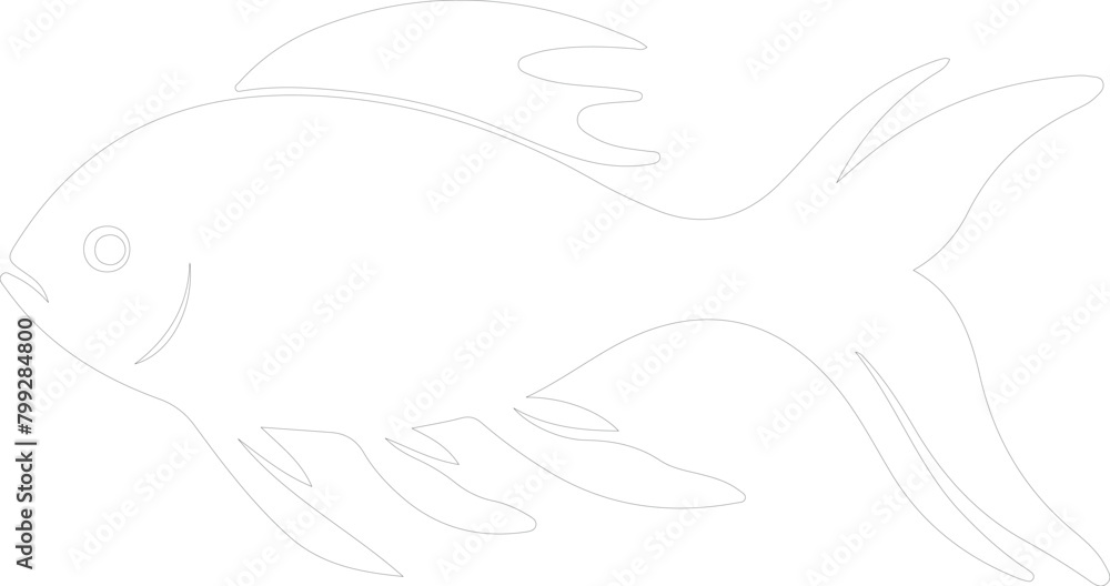 bonyfish outline bonyfish outline