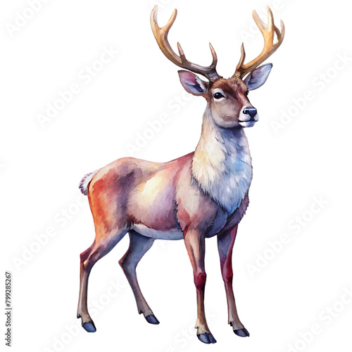 There is a deer that is standing in the watercolor