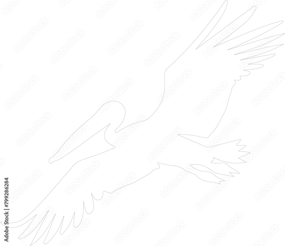 brownpelican outline brownpelican outline