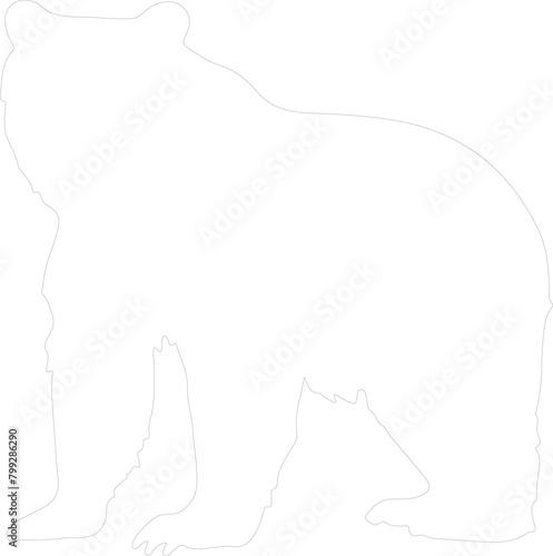 brownbear outline photo