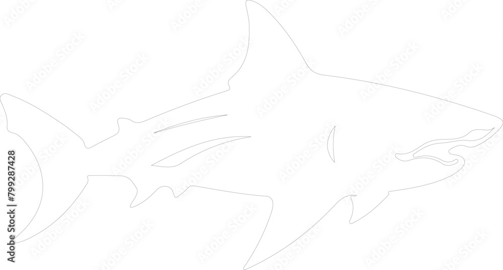Fototapeta premium bullshark outline