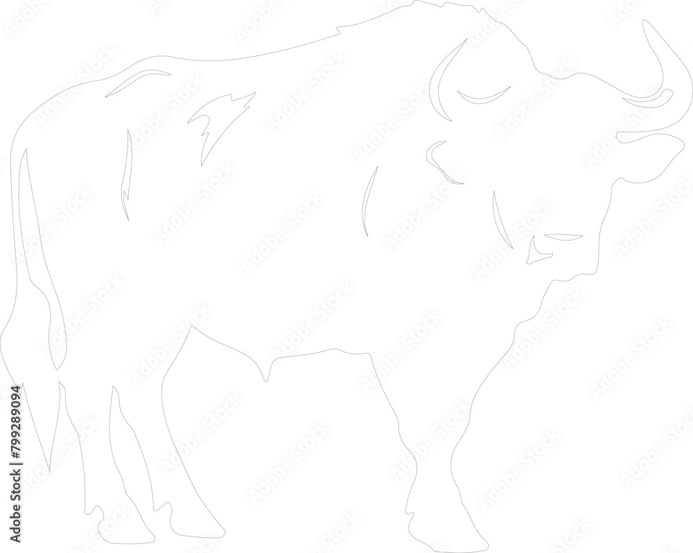 capebuffalo outline capebuffalo outline
