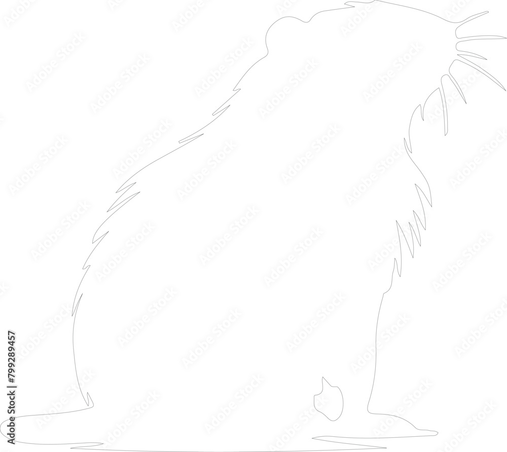 capybera outline capybera outline
