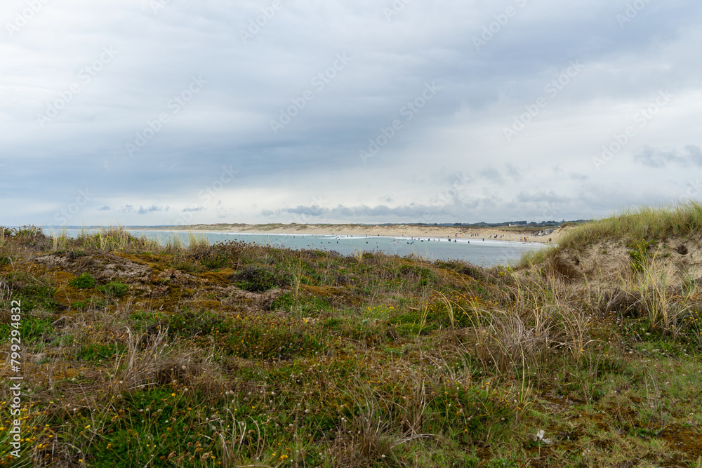 Dans l'arrière-plan d'un parterre végétal, la plage animée de la Torche en Bretagne, parsemée de baigneurs et de surfeurs évoluant dans les eaux.