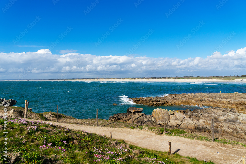 Naklejka premium Vue panoramique printanière du site de la Torche en Bretagne : armérie maritime fleurie, vaste plage de sable, eaux turquoises, ciel bleu parsemé de nuages.