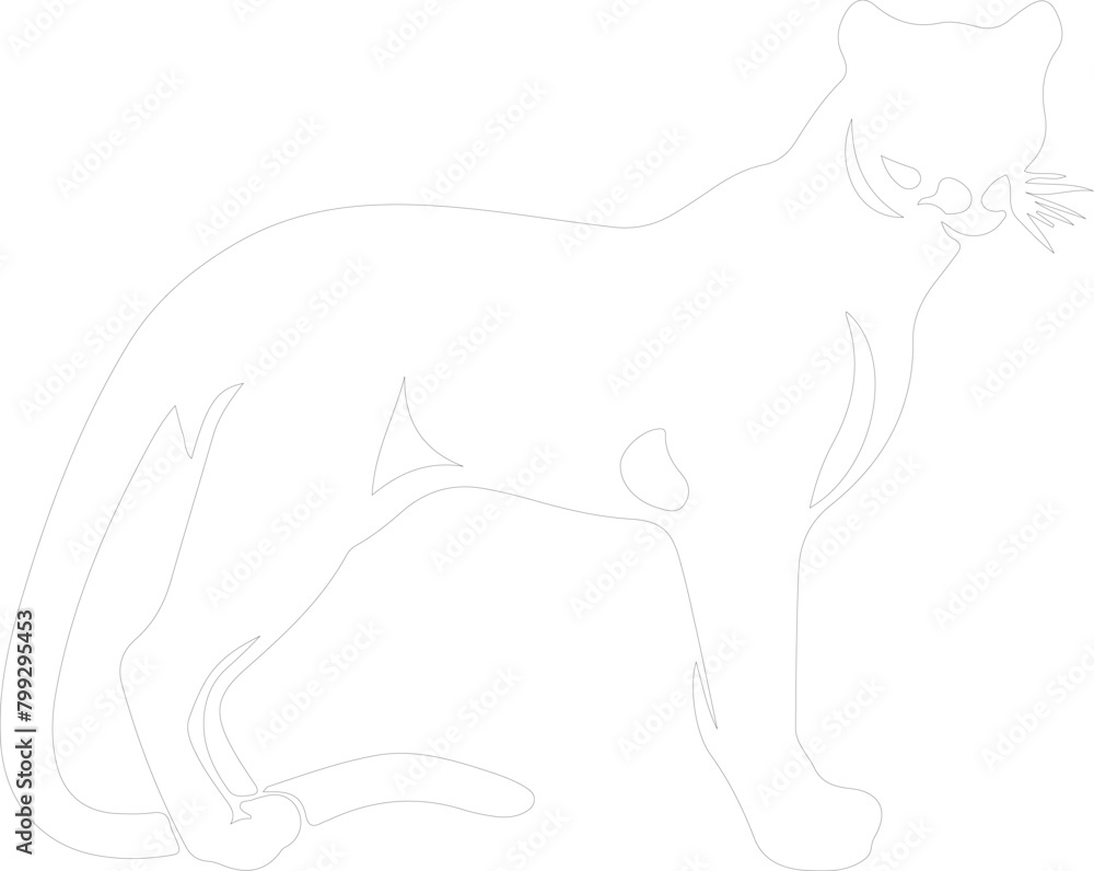 Obraz premium cougar outline