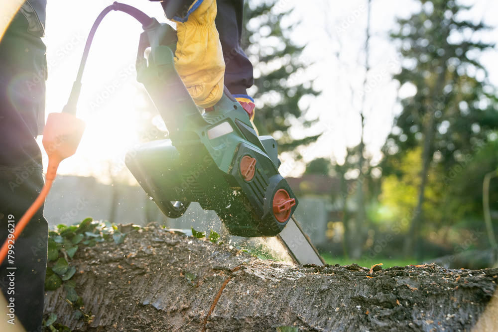 Naklejka premium A man in uniform cuts an old tree in the yard with an electric saw.