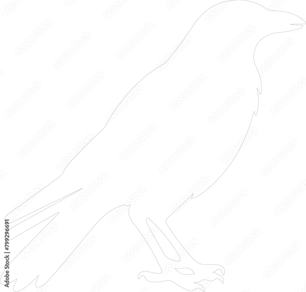 crow outline crow outline