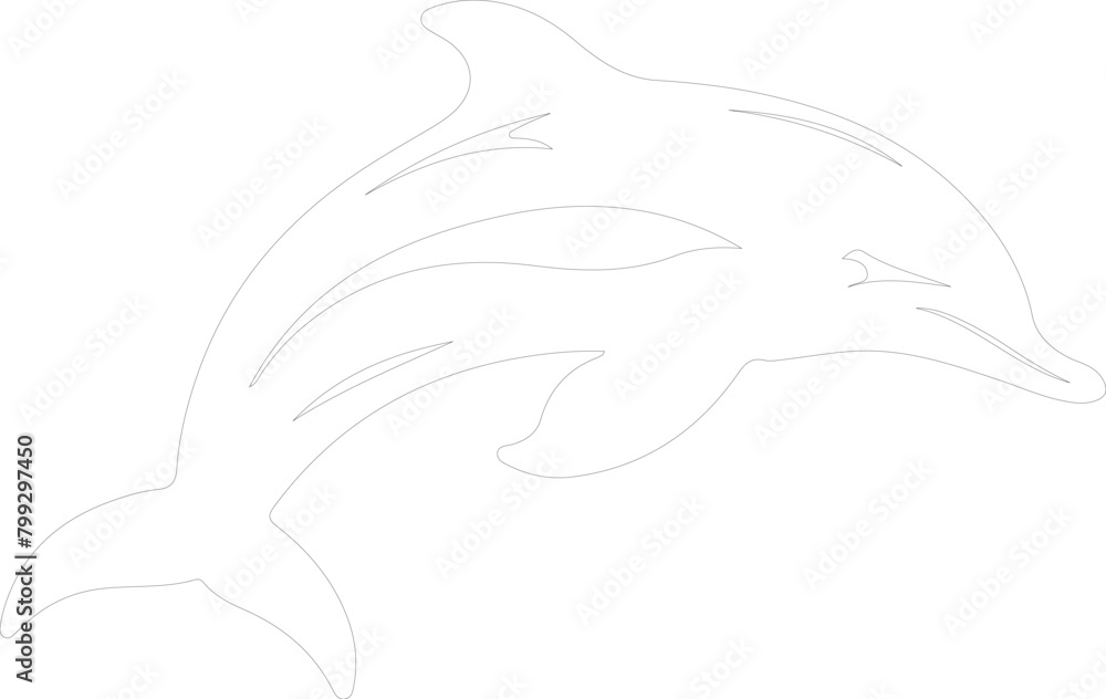 Fototapeta premium Dallsporpoise outline