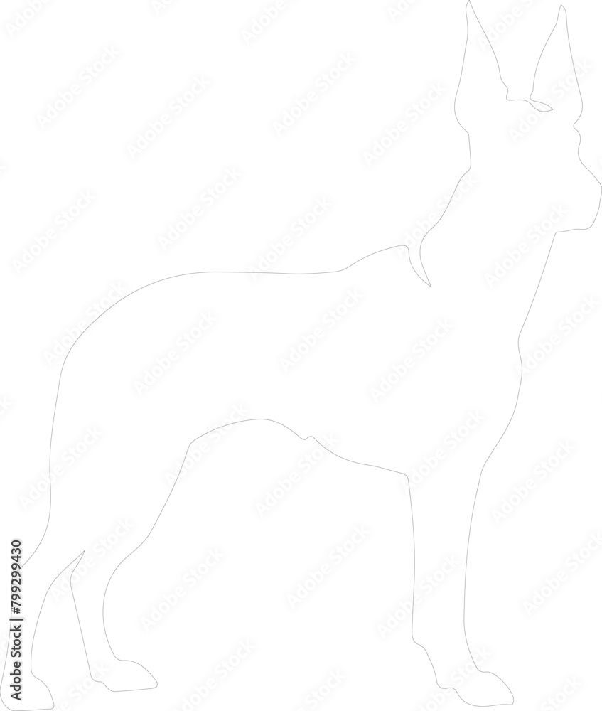 Fototapeta premium Doberman pinscher outline